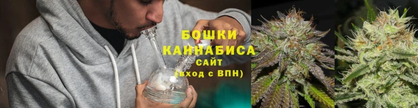 индика Белоозёрский